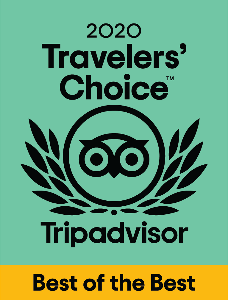trip advisor's travelers' choice award